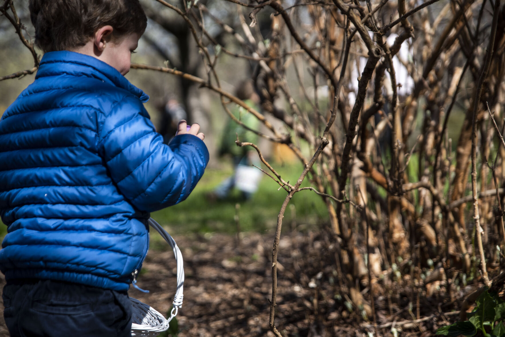 Easter egg hunt
